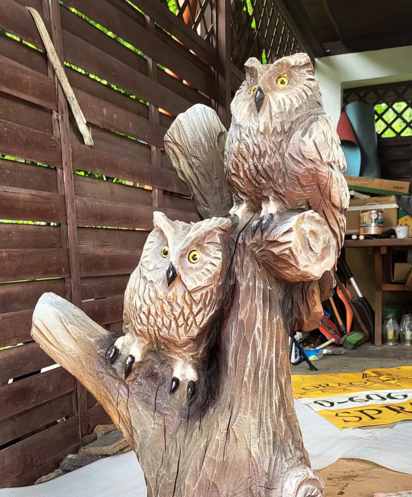 Ławka dla Lasów Państwowych